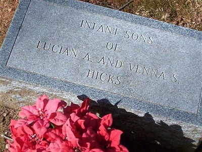 Infant sons of Lucian A. and Venna S. Hicks on Sysoon