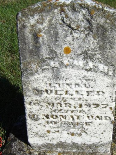 Infant Muller on Sysoon
