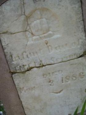 Infant Scrivner on Sysoon