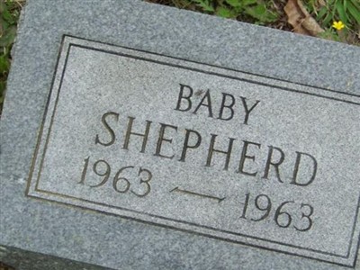 Infant Shepherd on Sysoon