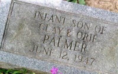 Infant Son Palmer on Sysoon