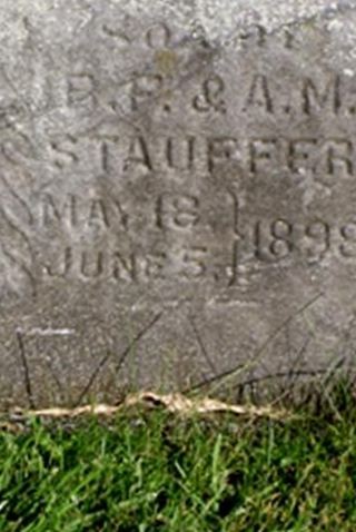 Infant Stauffer on Sysoon