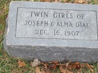 Infant Twin Daughters Dial on Sysoon