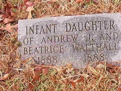 Infant Walthall on Sysoon