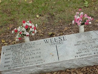 Infant Weese on Sysoon