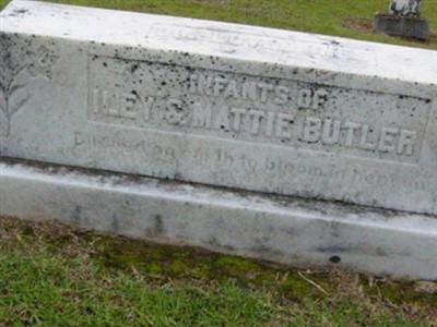 Infants of Iley H & Mattie Butler on Sysoon