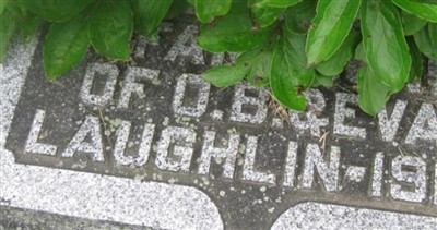 infants Laughlin on Sysoon