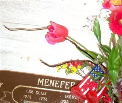 Irene A. Menefee on Sysoon