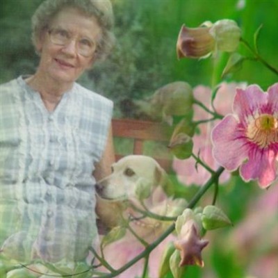 Iris Quimby Cobb on Sysoon