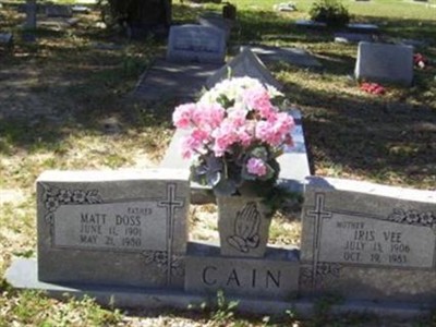 Iris Vee Cain on Sysoon