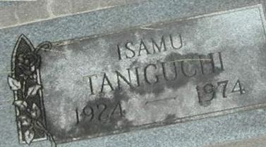 Isamu Taniguchi on Sysoon