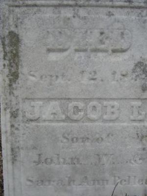 Jacob L. Pellet on Sysoon
