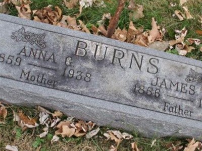 James A. Burns on Sysoon