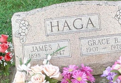 James A. Haga on Sysoon