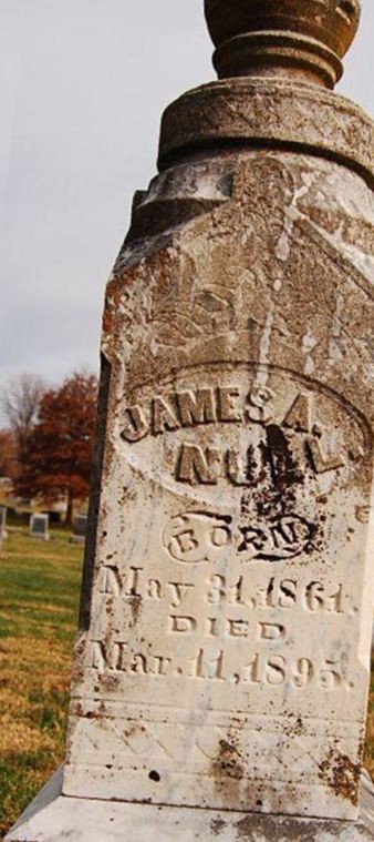 James A. Null on Sysoon