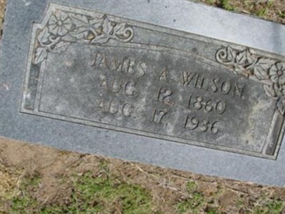 James A. Wilson on Sysoon