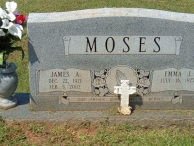 James Alfred Moses on Sysoon