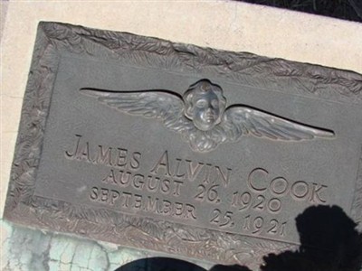 James Alvin Cook on Sysoon