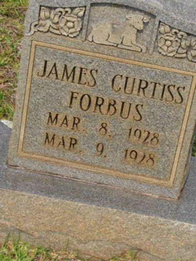 James Curtiss Forbus on Sysoon