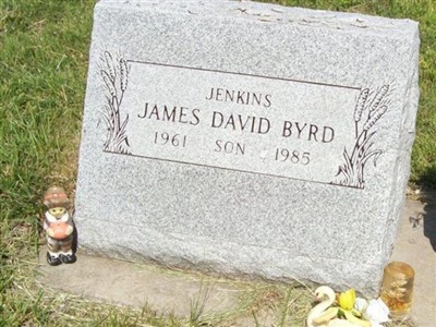 James David Byr Jenkins on Sysoon