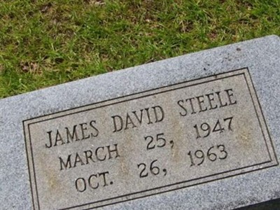 James David Steele on Sysoon