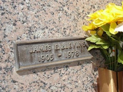 James E Blevins on Sysoon