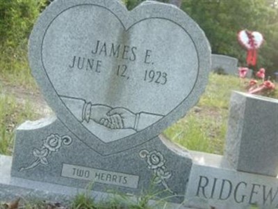 James E Ridgeway on Sysoon