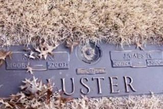 James H Luster on Sysoon