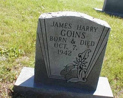 James Harry Goins on Sysoon