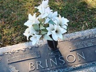 James "Jim" Brinson on Sysoon