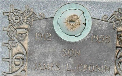 James L. Cronin on Sysoon