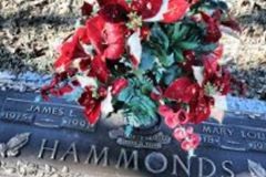 James L. Hammonds on Sysoon