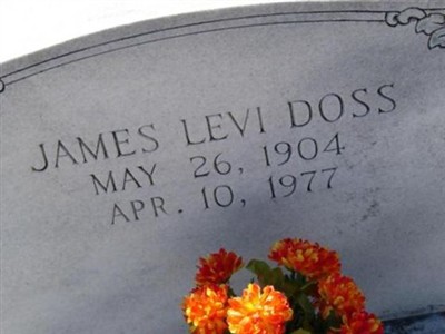 James Levi Doss on Sysoon