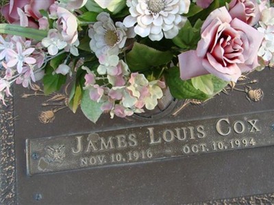 James Lewis Cox on Sysoon