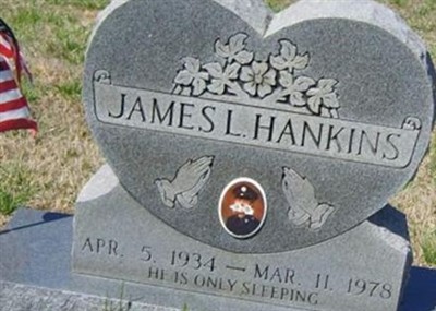James Loyal Hankins on Sysoon