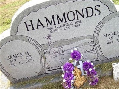 James M. Hammonds on Sysoon