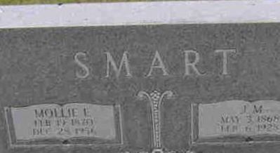 James M. Smart on Sysoon
