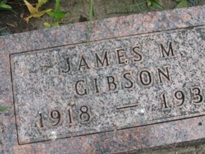 James Milton Gibson on Sysoon