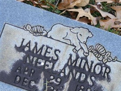 James Minor Neelands on Sysoon
