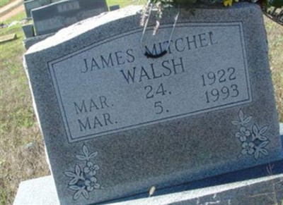 James Mitchel Walsh on Sysoon