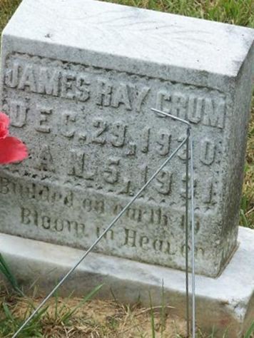 James Ray Crum on Sysoon