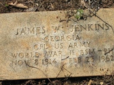 James W. Jenkins on Sysoon
