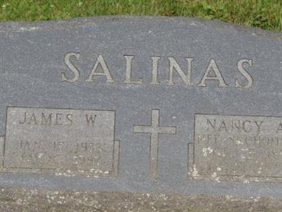 James W. Salinas on Sysoon