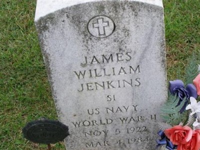 James William Jenkins on Sysoon