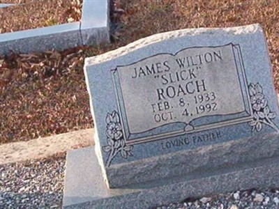 James Wilton Roach on Sysoon