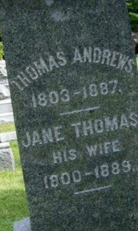 Jane Thomas Andrews on Sysoon