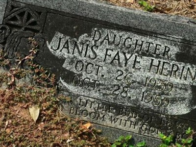 Janis Faye Hering on Sysoon