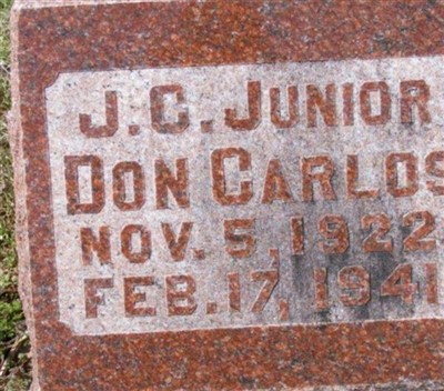 J C Don Carlos, Jr on Sysoon