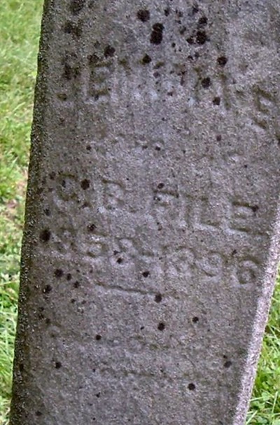 Jemima E. Redfearn File on Sysoon