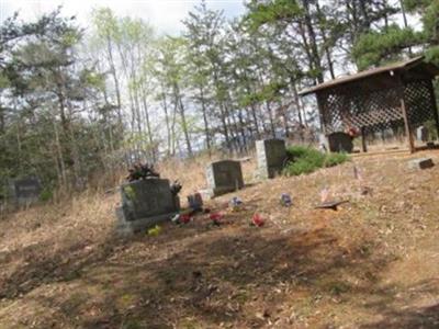 Jenkins Cemetery on Sysoon